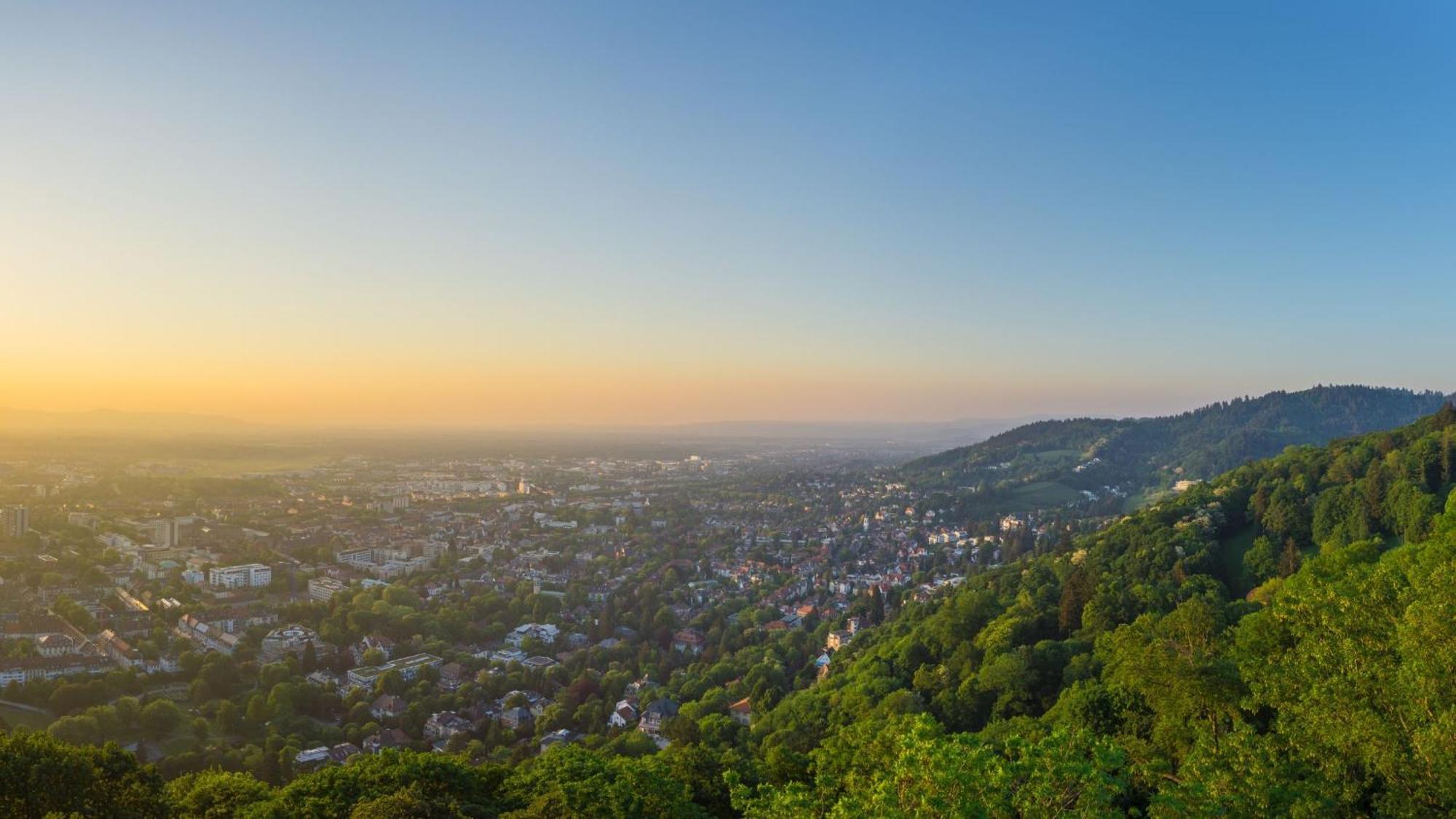 Ferienwohnung Muenster, Sehr Zentral Fribourg im Breisgau Extérieur photo